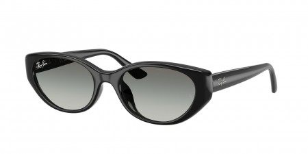 RB4457D Sunglasses