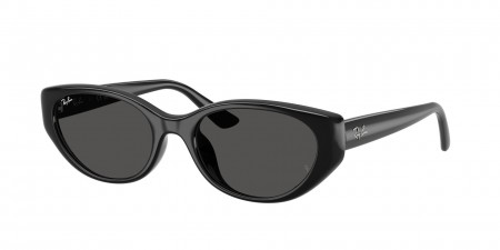 RB4457D Sunglasses