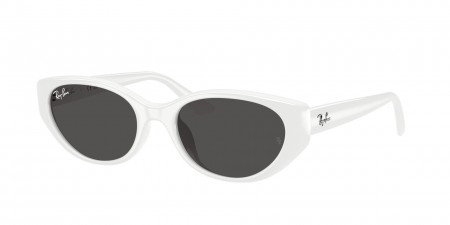 RB4457D Sunglasses