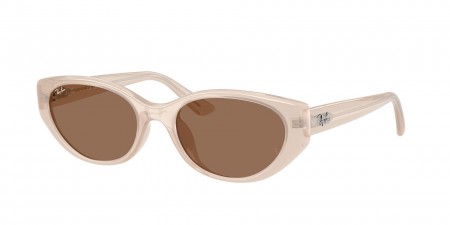 RB4457D Sunglasses