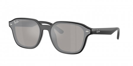 RB4458D Sunglasses