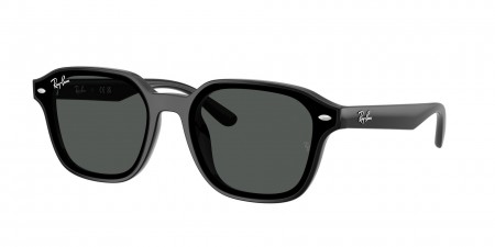RB4458D Sunglasses