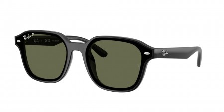 RB4458D Sunglasses