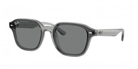 RB4458D Sunglasses