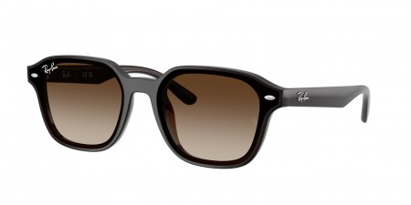 RB4458D Sunglasses