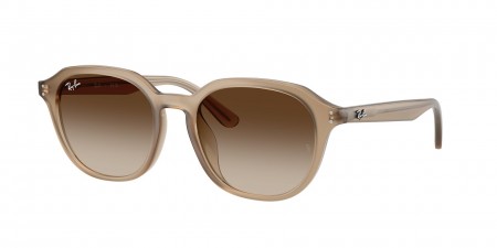 RB4459D Sunglasses