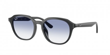 RB4459D Sunglasses