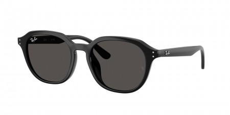 RB4459D Sunglasses