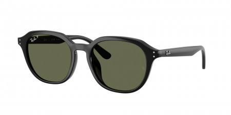 RB4459D Sunglasses