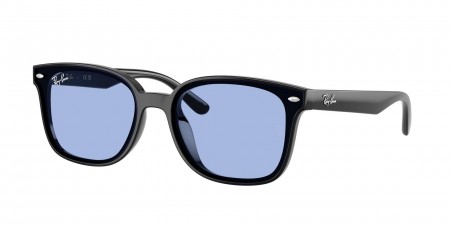 RB4461D Sunglasses