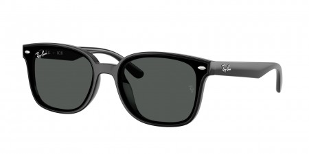 RB4461D Sunglasses