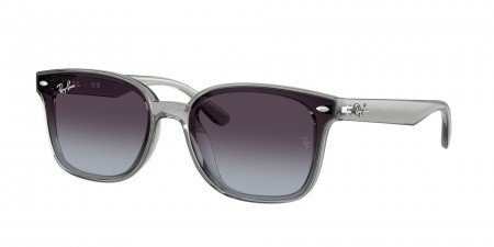 RB4461D Sunglasses