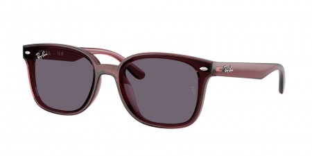 RB4461D Sunglasses