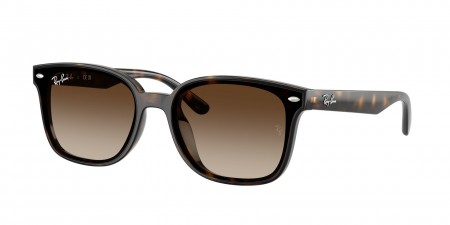 RB4461D Sunglasses