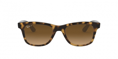 RB4640 Sunglasses
