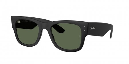 RB4840S Sunglasses