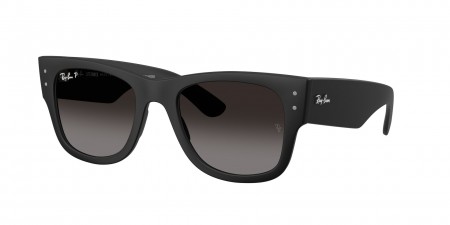 RB4840S Sunglasses