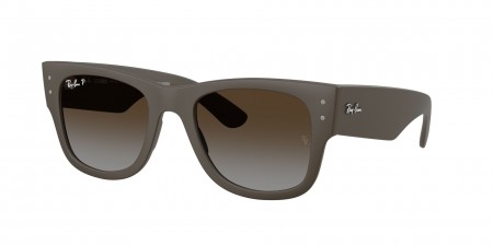 RB4840S Sunglasses