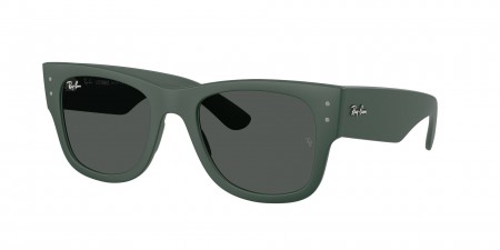 RB4840S Sunglasses