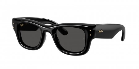 RB4940 Wayfarer Puffer Sunglasses