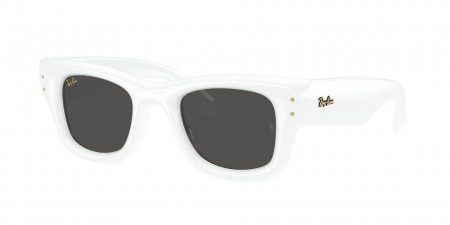 RB4940 Wayfarer Puffer Sunglasses