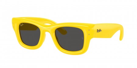 RB4940 Wayfarer Puffer Sunglasses