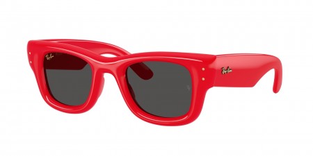 RB4940 Wayfarer Puffer Sunglasses