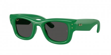 RB4940 Wayfarer Puffer Sunglasses