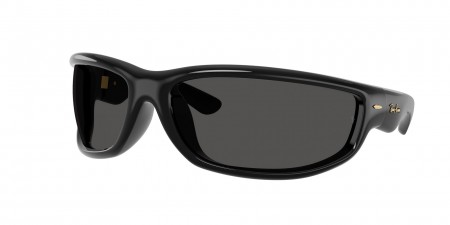 RB4941 Sunglasses