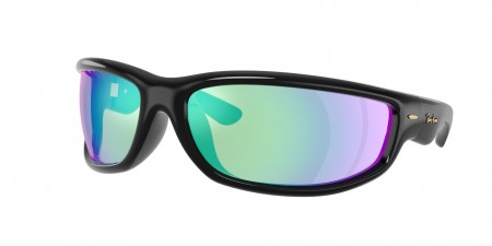 RB4941 Sunglasses