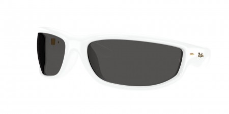 RB4941 Sunglasses