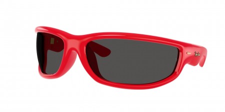 RB4941 Sunglasses