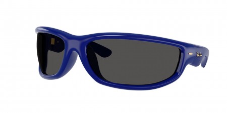 RB4941 Sunglasses