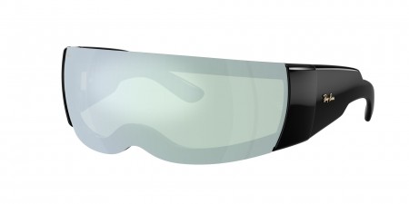 RB4942 Sunglasses