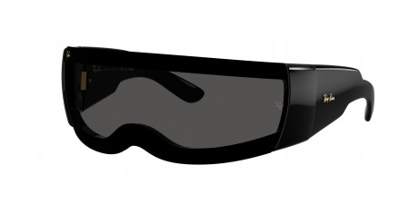 RB4942 Sunglasses