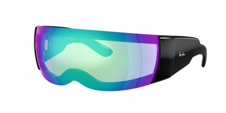 RB4942 Sunglasses