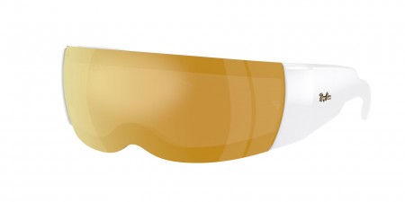 RB4942 Sunglasses