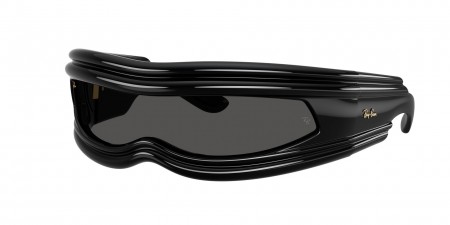 RB4943 Sunglasses