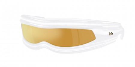 RB4943 Sunglasses