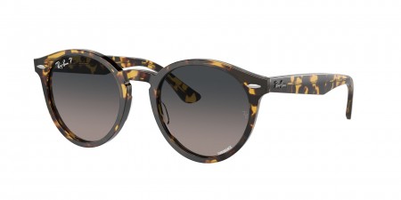 RB7680S Larry Sunglasses