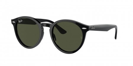 RB7680S Larry Sunglasses