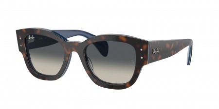 RB7681SF Jorge Sunglasses