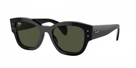 RB7681SF Jorge Sunglasses