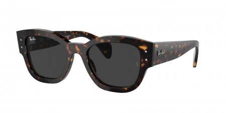 RB7681SF Jorge Sunglasses