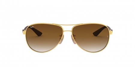 RB8313 Carbon Fibre Sunglasses