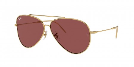 RBR0101S Aviator Reverse Sunglasses