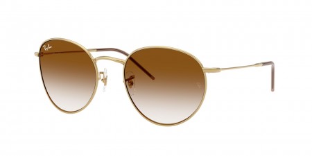 RBR0103S Round Reverse Sunglasses