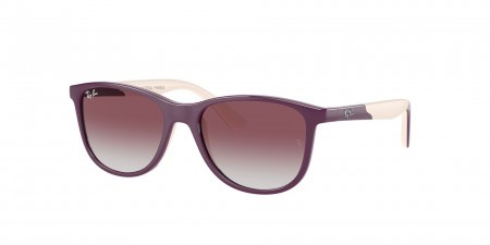 RJ9077SF Sunglasses