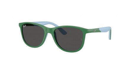 RJ9077SF Sunglasses