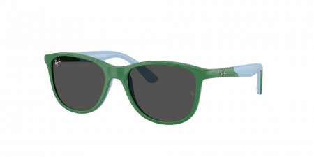 RJ9077S Sunglasses